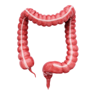 Cirujano Gastroenterólogo en Mérida