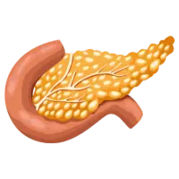 Cirujano Gastroenterólogo en Mérida