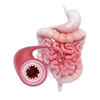 Cirujano Gastroenterólogo en Mérida